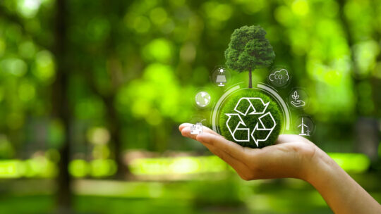 The-Role-of-Waste-Recycling-in-Sustainability-540x304 (1)